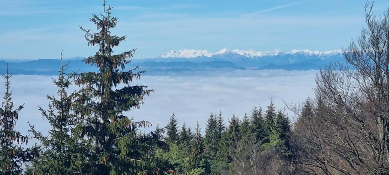 Apartma Zele Postojna Luaran gambar