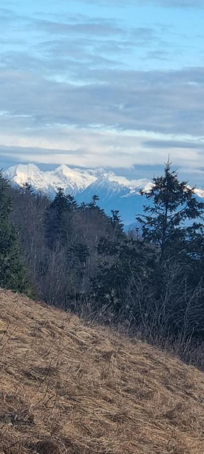 Apartma Zele Postojna Luaran gambar