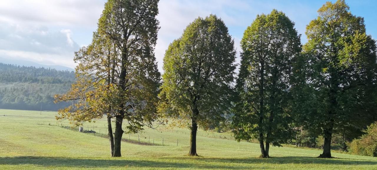 Apartma Zele Postojna Luaran gambar