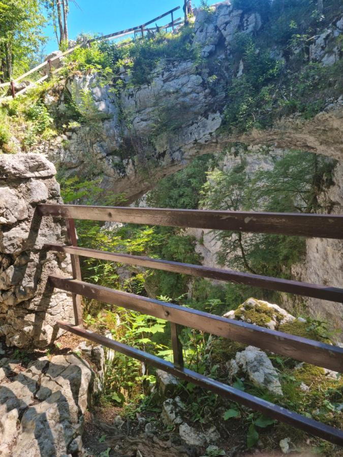 Apartma Zele Postojna Luaran gambar