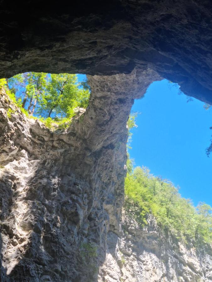 Apartma Zele Postojna Luaran gambar