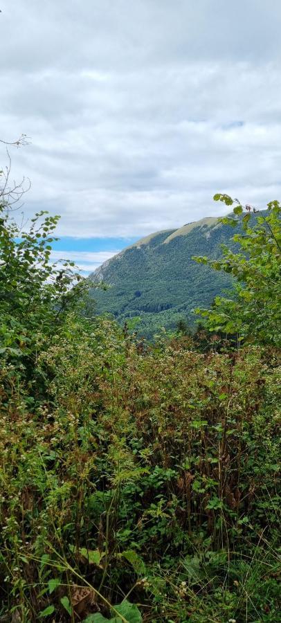 Apartma Zele Postojna Luaran gambar